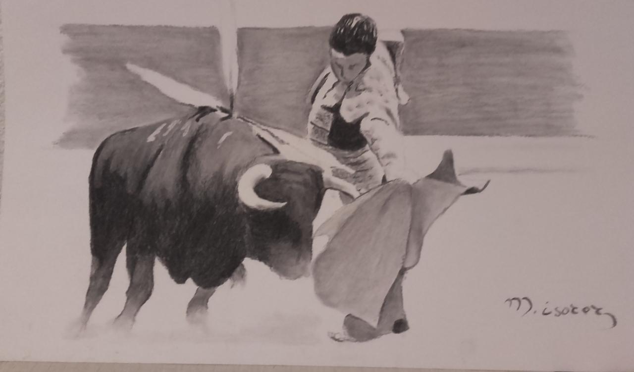 Corrida (2)