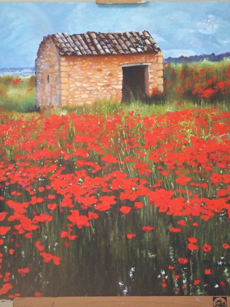 Champ de coquelicots 