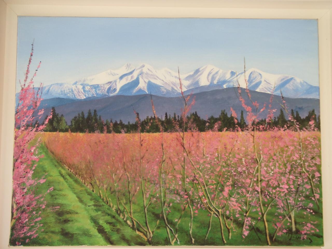Champs de pechers