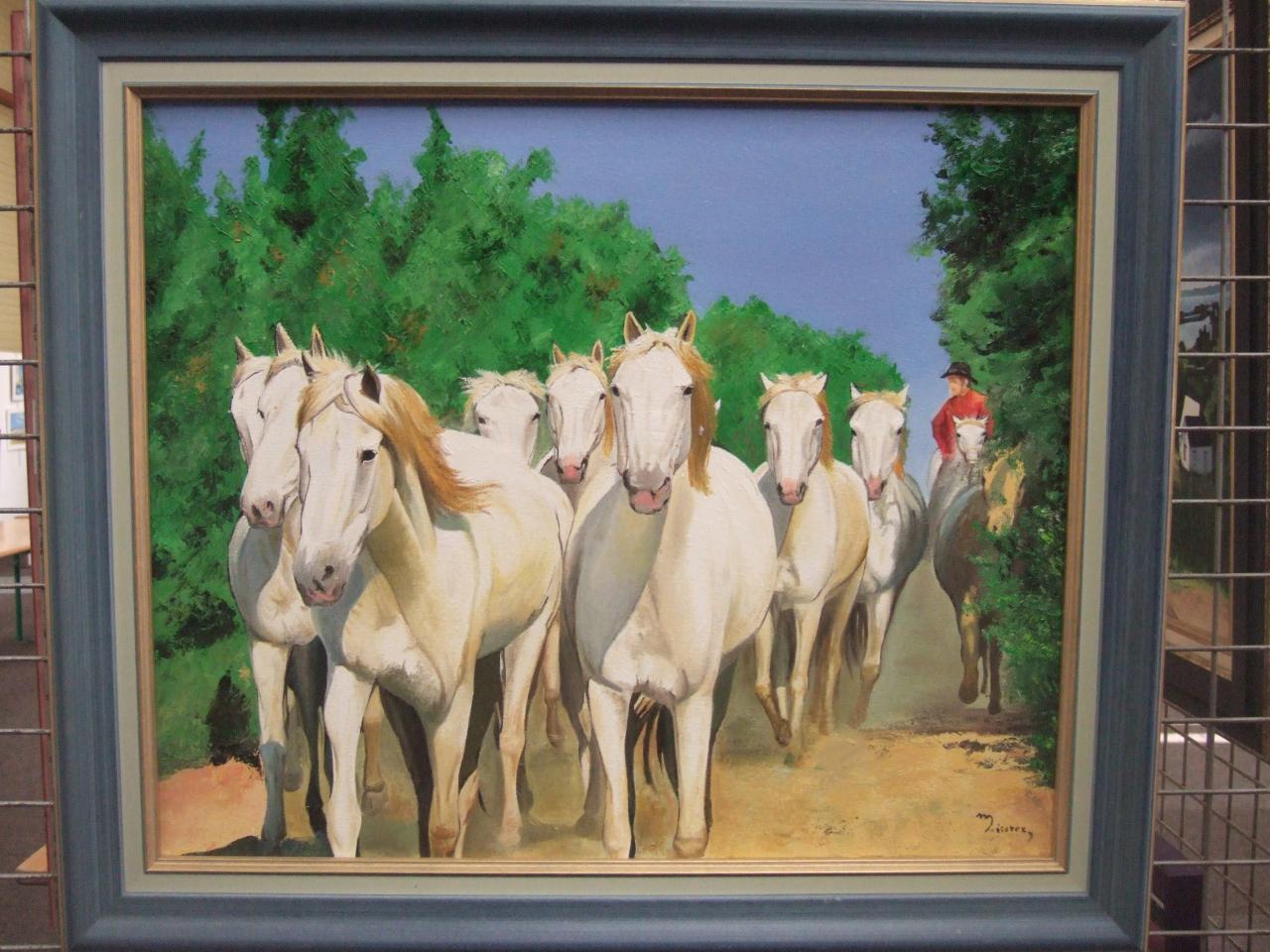 Chevaux de Camargue